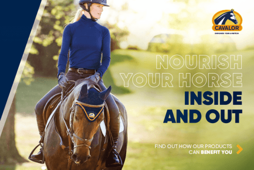 NOURISH YOUR HORSE INSIDE AND OUT