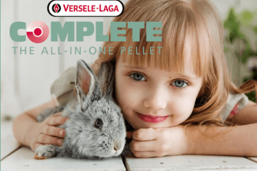 Complete bevezetés