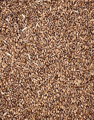 WHEAT KG Packaging
