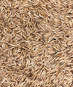 OAT KG Packaging