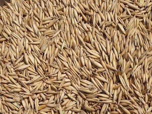 OAT Bag Packaging