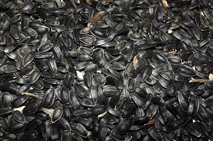 SUNFLOWER SEED Bag Packaging