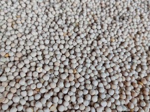 PEA
