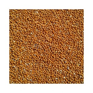MILLET