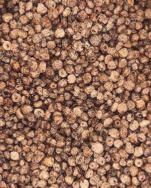 TIGER NUT